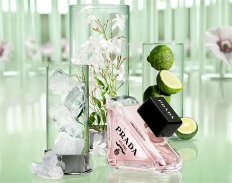 prada paradoxe virtual flower edp|Prada paradoxe virtual flower.